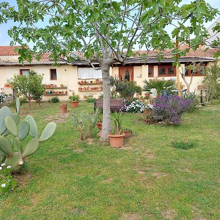 Garden Rooms Olbia Dış mekan fotoğraf