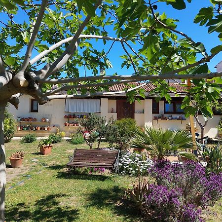Garden Rooms Olbia Dış mekan fotoğraf